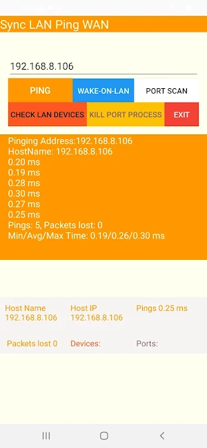 Sync LAN Ping WAN Screenshot 1
