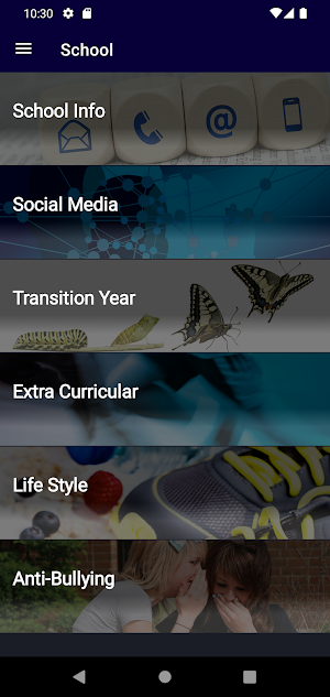 St. Munchin’s College Screenshot 1
