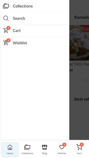 HANOUTY.ca Screenshot 3