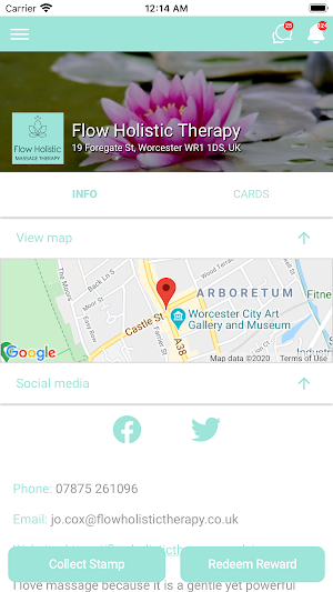 Flow Holistic Therapy Screenshot 1