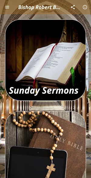 Bishop Robert Barron Teachings Screenshot 0