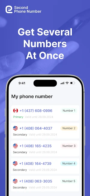 Ringo: Second Phone 2nd Number Screenshot 3