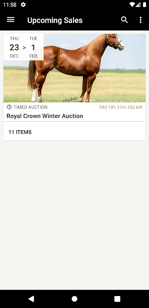 Royal Crown Horse Sale screenshot 1