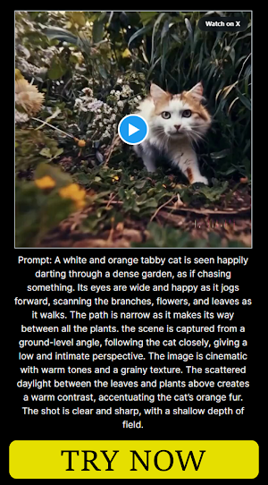 Sora OpenAi text-to-video Info Screenshot 2