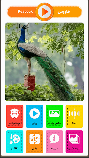 آقای قوقولی - صدای حیوانات Screenshot 1