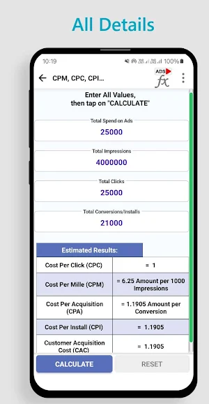 Digital Ads Metrics Calculator Screenshot 2