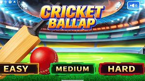 Cricket Bat Champion Screenshot 0