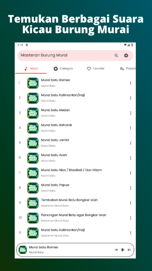 Kicau Burung Murai Mp3 Screenshot 2