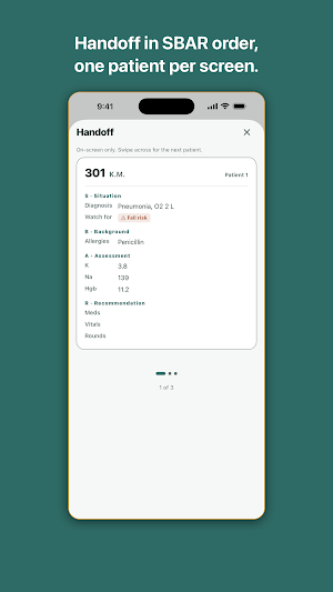 BrainSheet: Nurse Report Sheet Screenshot 3