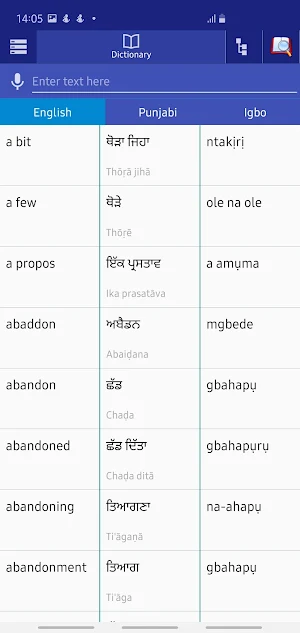 Punjabi Igbo Dictionary Screenshot 3