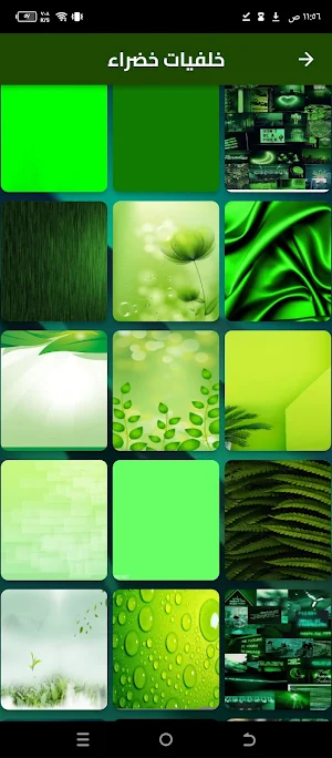 خلفيات خضراء Screenshot 0