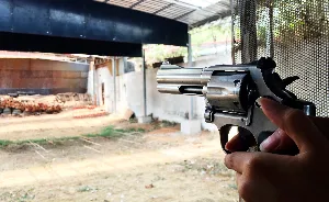 Gun effect sound screenshot 3