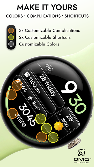 OMG 480 - Digital Dashboard Screenshot 2
