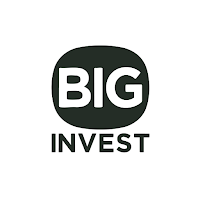 BIG INVEST — инвестиции