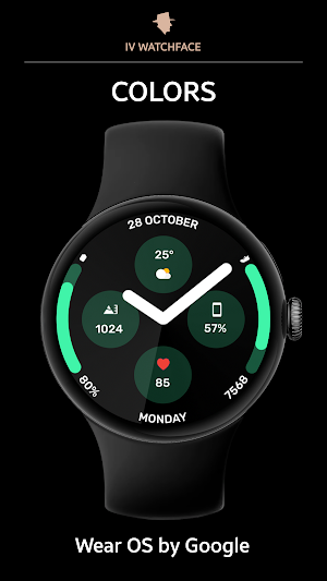 Round Basic Watch Face Screenshot 1