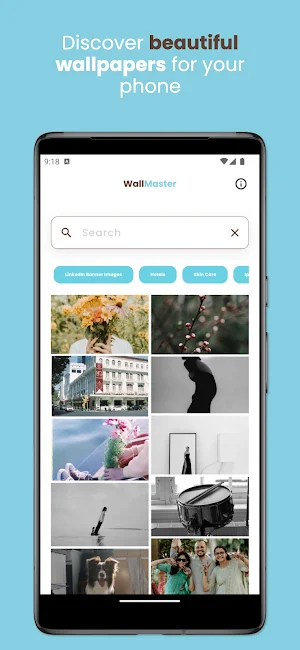 WallMaster Screenshot 0