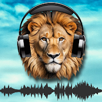 Animal Soundboard Learn & Play