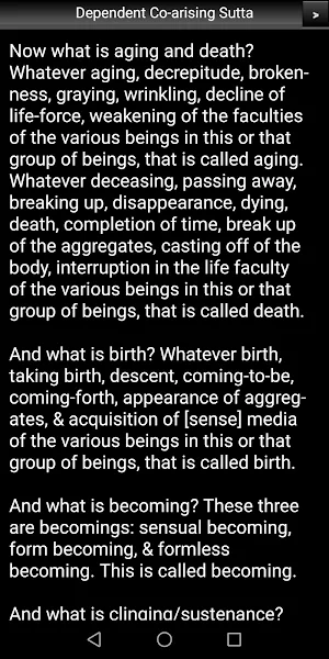 Dependent Co-arising Sutta Screenshot 2