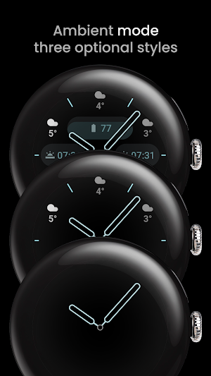 Weather Analog: Watch face Screenshot 2