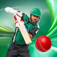 Cricket Game 3D: Bat Ball Game