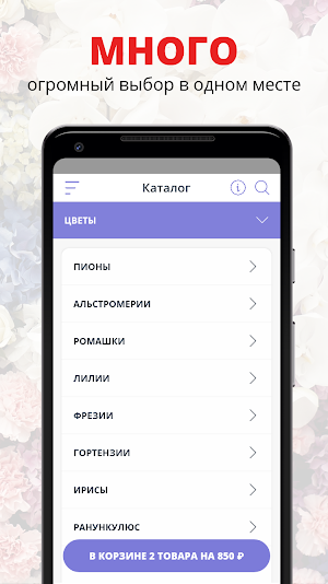 Камелия | Владимир Screenshot 0