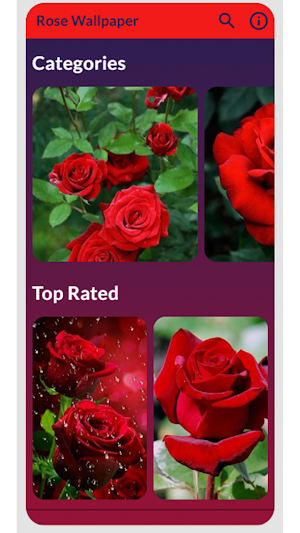 Rose Wallpaper Screenshot 0