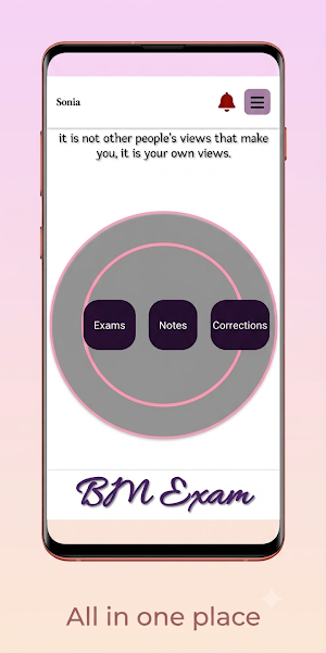 BM Exam Screenshot 2