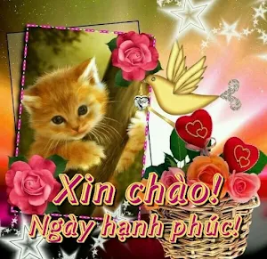 Xin chào! Ngày hạnh phúc! Screenshot 0