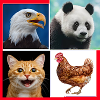 Animal Quiz Learn & Play game