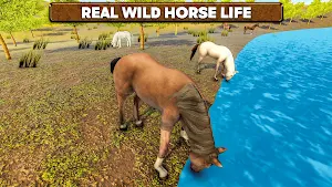 Wild Horse Family Survival Screenshot 1