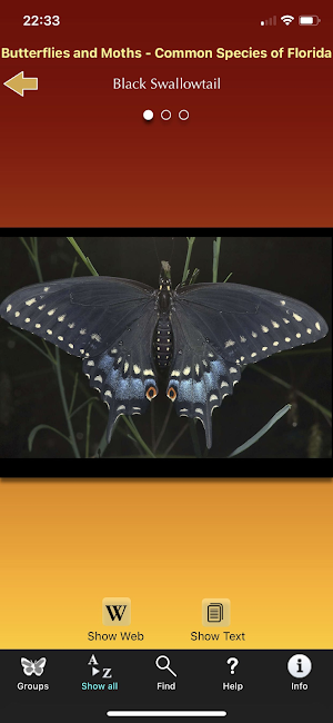 Southern Florida Butterflies Screenshot 3