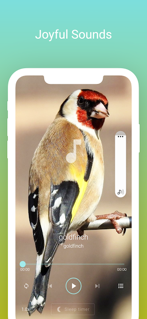 Singing Birds Screenshot 3