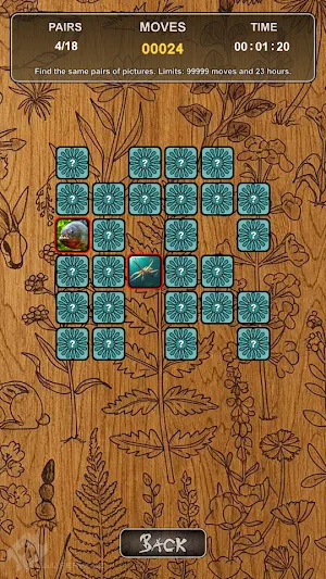 Pexeso - Memory Game Screenshot 0