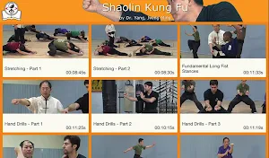 Shaolin Kung Fu w Subtitles Screenshot 0