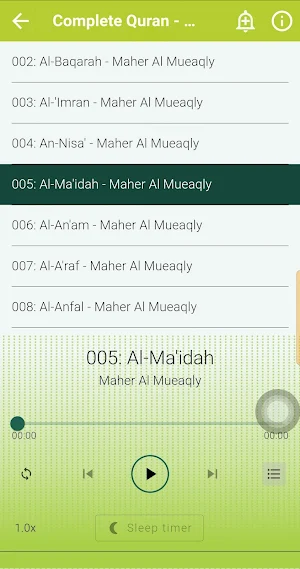 Maher Al Muaiqly Quran Offline Screenshot 2