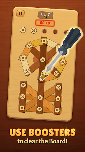 Screw Challenge - Bolts Puzzle Screenshot 2