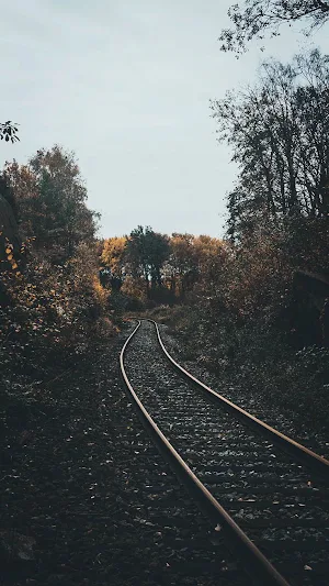 Fall Wallpapers 2022 Screenshot 1