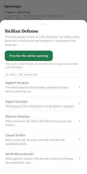 Chess Coach Screenshot 2