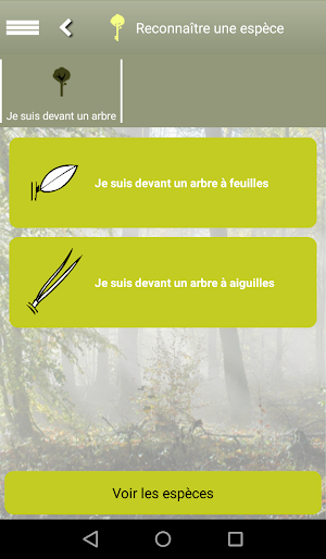 Clés de forêt Screenshot 3