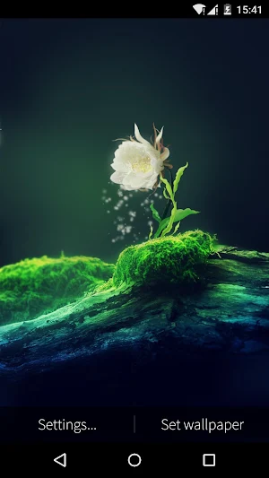 Cactus Flower Live Wallpaper Screenshot 1