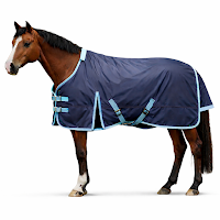 Horse Blanket