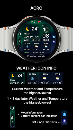 ACRO Digital Weather info2 WF Screenshot 1