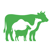 الكرامه