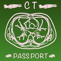 CT Passport Chest / sectional anatomy / MRI