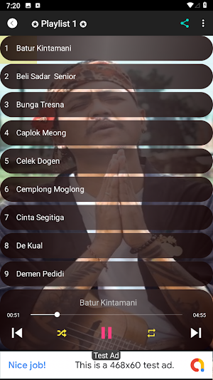 Lagu Bali Bagus Wirata Offline Screenshot 2