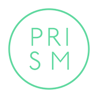 PRISM - Dealer Audit System