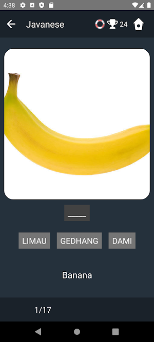 Javanese Language Tests Screenshot 3