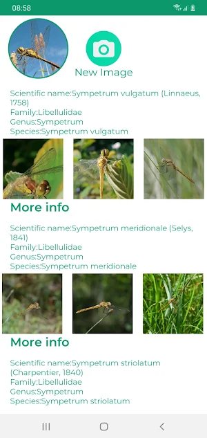 Insect ID - AI insect identify Screenshot 3
