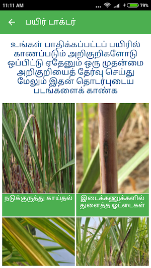Sugarcane Expert System Tamil Screenshot 3