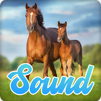 Horse Sounds Effect